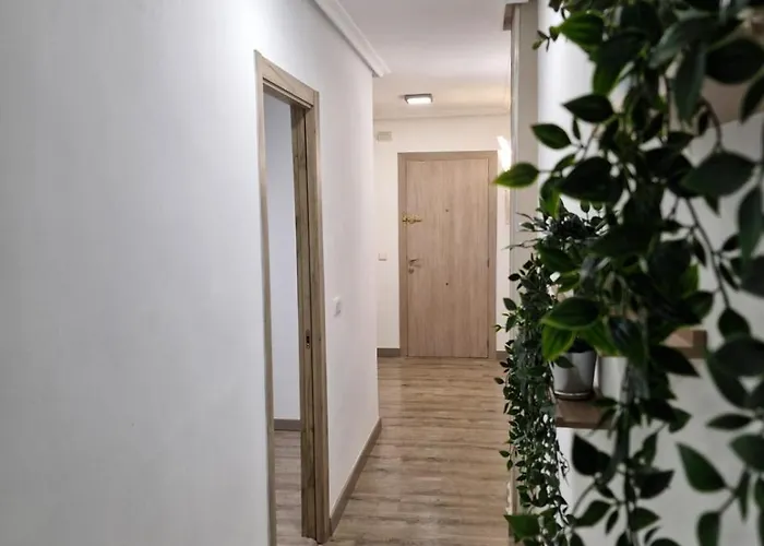 Апартаменты Feeling Catedral